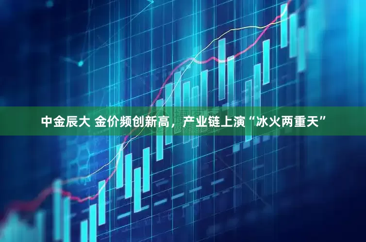 中金辰大 金价频创新高，产业链上演“冰火两重天”