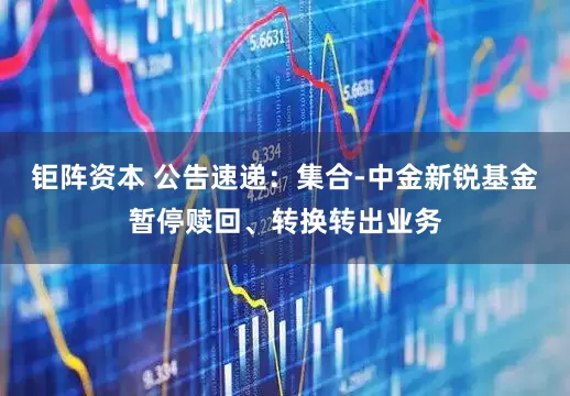 钜阵资本 公告速递：集合-中金新锐基金暂停赎回、转换转出业务