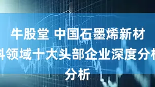 牛股堂 中国石墨烯新材料领域十大头部企业深度分析