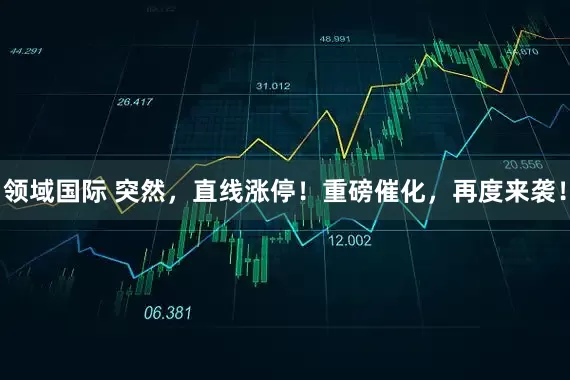 领域国际 突然，直线涨停！重磅催化，再度来袭！